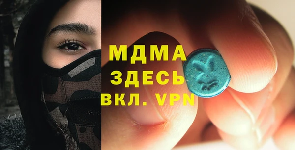 индика Богородицк