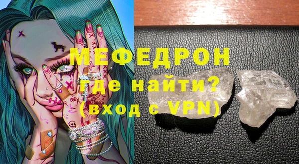 индика Богородицк