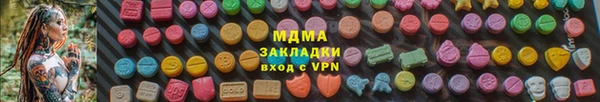 индика Богородицк