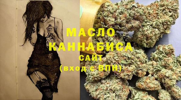 СК Бородино