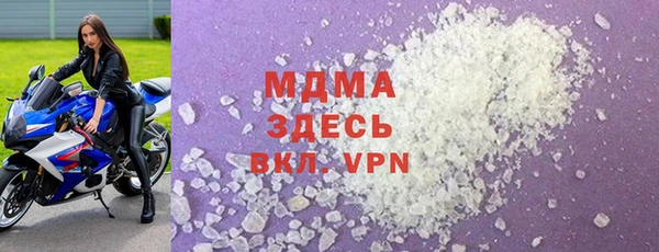индика Богородицк