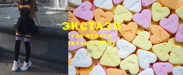 индика Богородицк