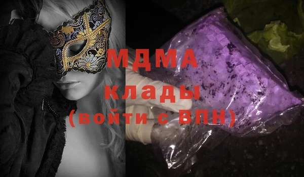индика Богородицк