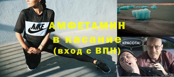 индика Богородицк