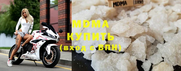 индика Богородицк