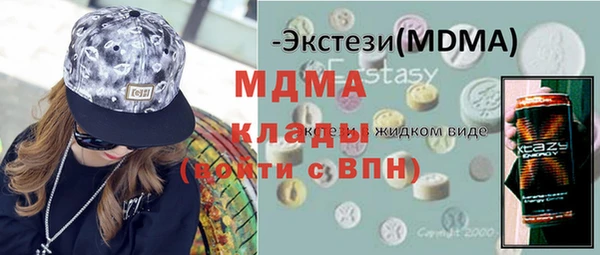 индика Богородицк