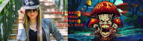 СК Бородино